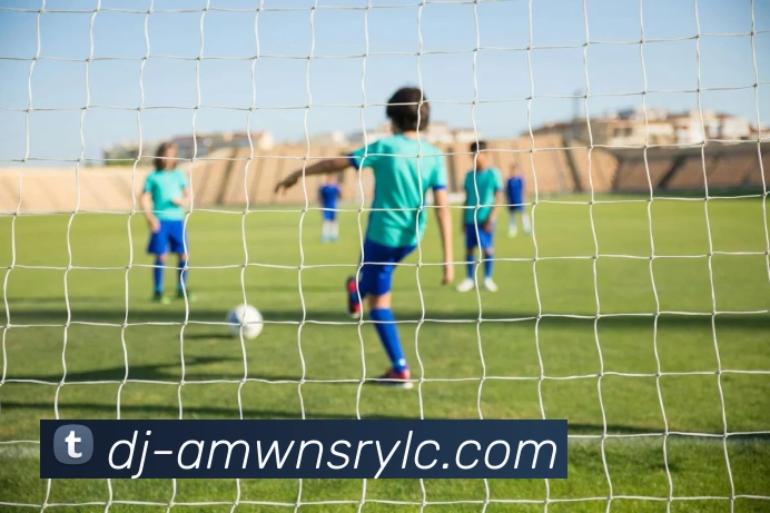 威尼斯人官网发展历程